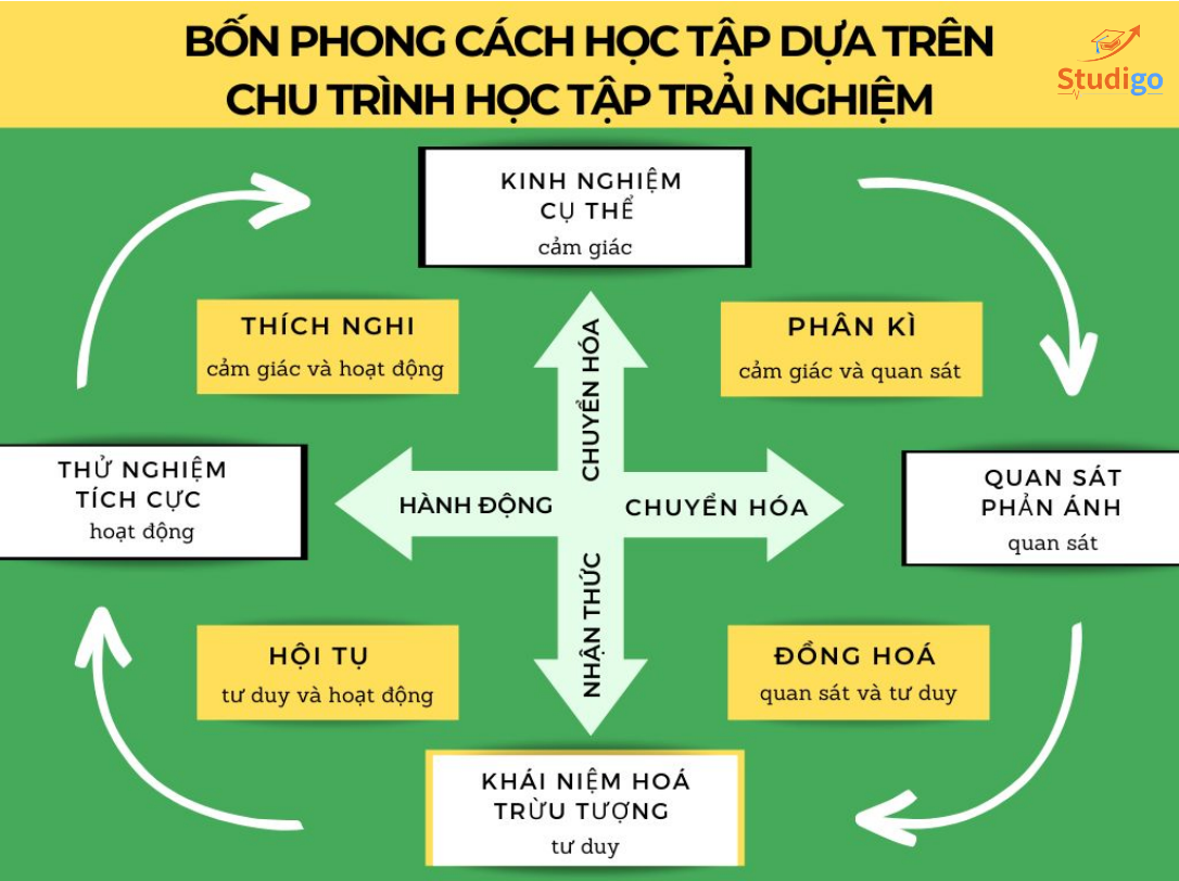4 phong cách học tập theo mô hình Kolb